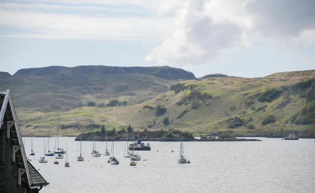 McCaig's Way