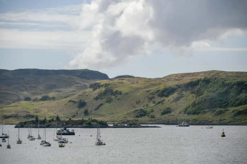 McCaig's Way